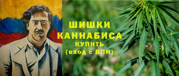 стаф Кодинск