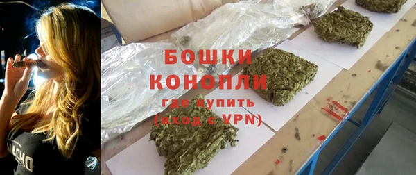 стаф Кодинск