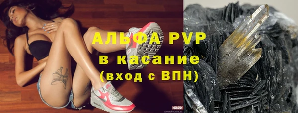 стаф Кодинск
