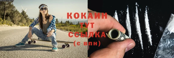 стаф Кодинск